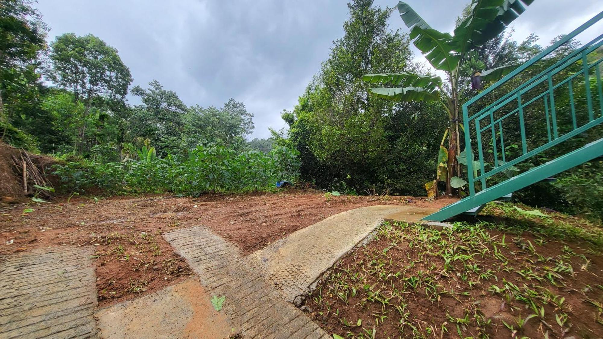 Green Cradle مونار المظهر الخارجي الصورة